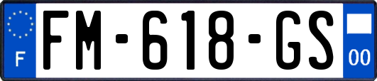 FM-618-GS