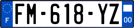 FM-618-YZ
