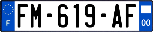 FM-619-AF