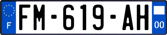 FM-619-AH