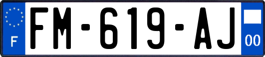 FM-619-AJ