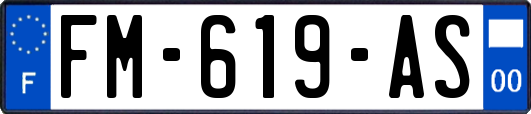 FM-619-AS