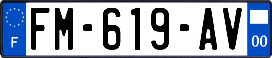 FM-619-AV