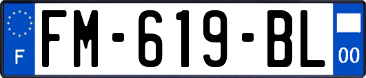 FM-619-BL