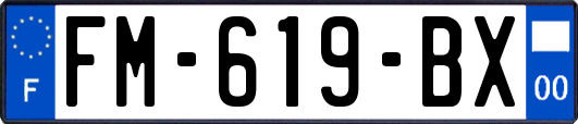FM-619-BX