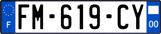 FM-619-CY