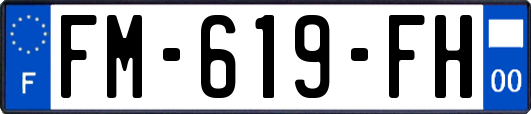 FM-619-FH