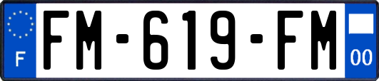 FM-619-FM