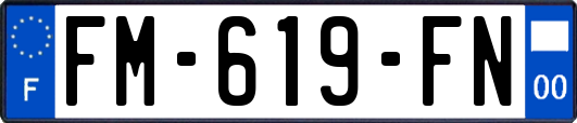 FM-619-FN
