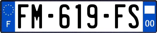 FM-619-FS