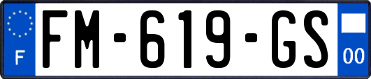 FM-619-GS
