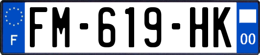 FM-619-HK