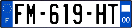 FM-619-HT