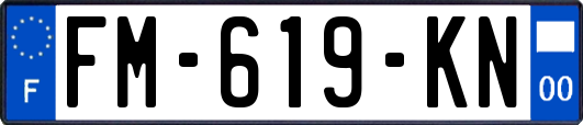 FM-619-KN
