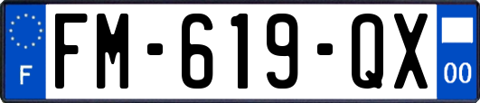 FM-619-QX