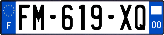 FM-619-XQ
