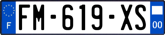 FM-619-XS