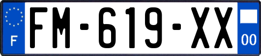 FM-619-XX
