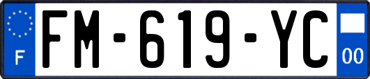 FM-619-YC