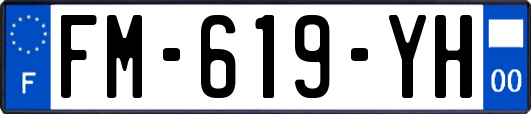 FM-619-YH