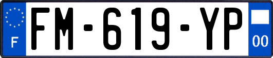 FM-619-YP