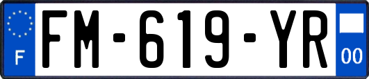 FM-619-YR
