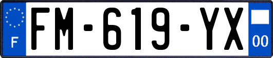 FM-619-YX