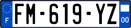 FM-619-YZ