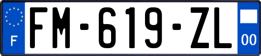 FM-619-ZL