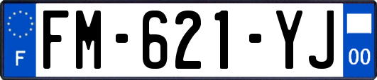 FM-621-YJ