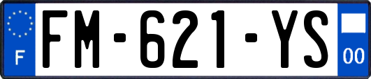 FM-621-YS