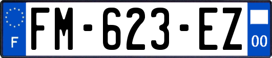 FM-623-EZ