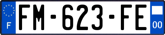 FM-623-FE