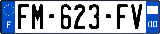 FM-623-FV