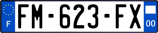 FM-623-FX