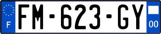 FM-623-GY