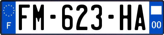 FM-623-HA