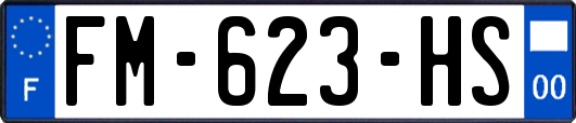 FM-623-HS