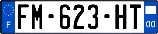 FM-623-HT