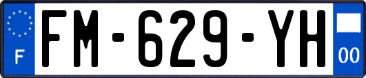 FM-629-YH