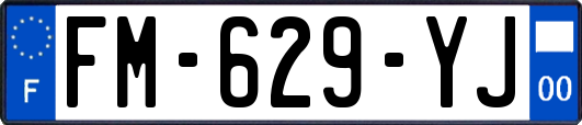 FM-629-YJ