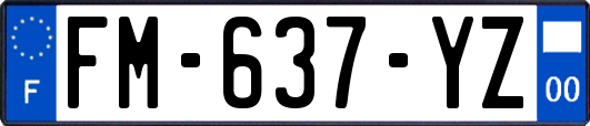 FM-637-YZ