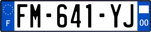 FM-641-YJ