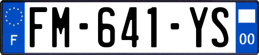 FM-641-YS