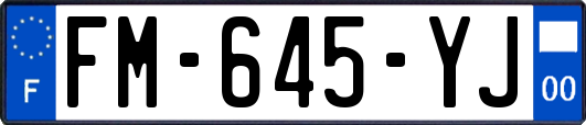 FM-645-YJ