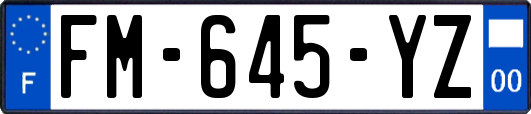 FM-645-YZ