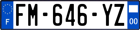FM-646-YZ