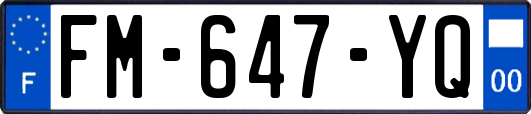 FM-647-YQ