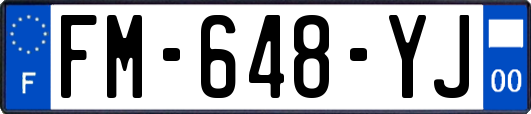 FM-648-YJ