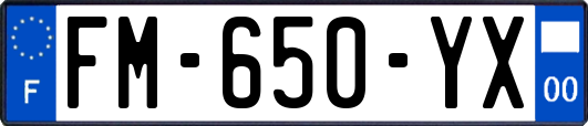 FM-650-YX